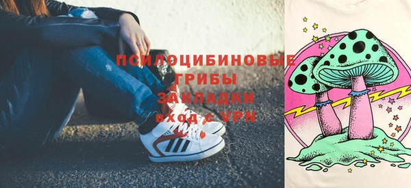 гашик Беломорск