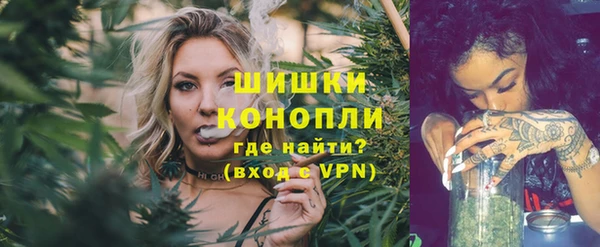бошки Белокуриха