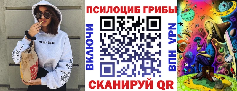 shop телеграм  купить наркоту  Луховицы  Псилоцибиновые грибы Psilocybe 