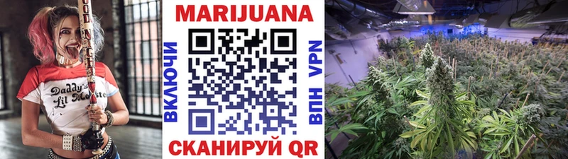 магазин продажи наркотиков  Луховицы  Бошки марихуана ГИДРОПОН 